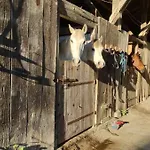 Ferienhaus Ferme Equestre 9 A 12 Places