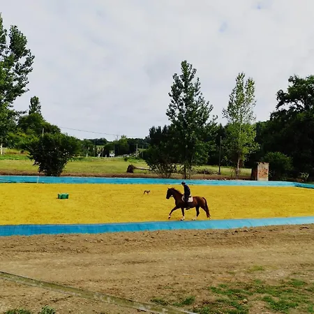 Ferme Equestre 9 A 12 Places 欧兹