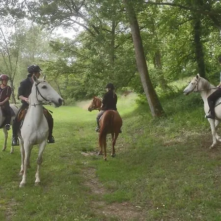 Ferme Equestre 9 A 12 Places