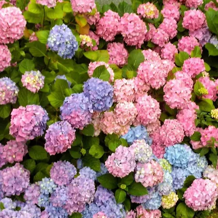 Holiday home Ferme Equestre 9 A 12 Places Eauze