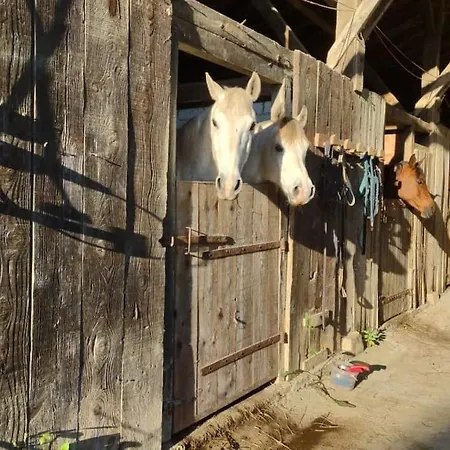 度假居 Ferme Equestre 9 A 12 Places