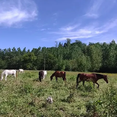 Ferme Equestre 9 A 12 Places Holiday home *