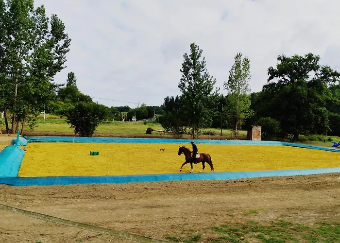 Ferme Equestre 9 A 12 Places Eauze