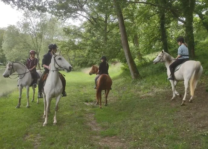 Ferme Equestre 9 A 12 Places