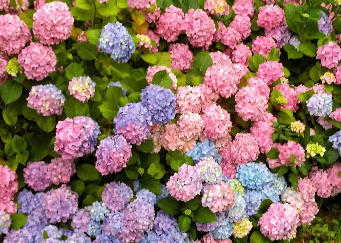 Holiday home Ferme Equestre 9 A 12 Places Eauze