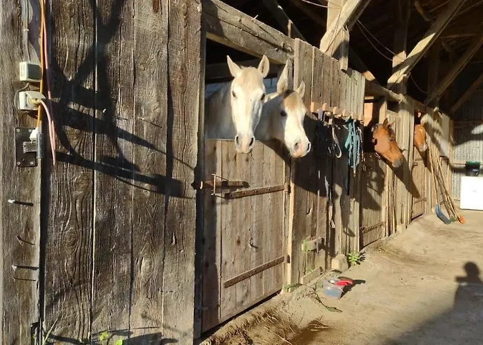 Holiday home Ferme Equestre 9 A 12 Places